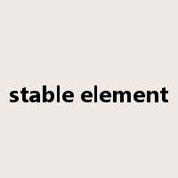 stable element是什么意思