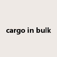 cargo in bulk是什么意思