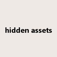 hidden assets是什么意思