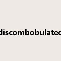 discombobulated是什么意思