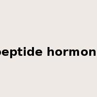 peptide hormone是什么意思