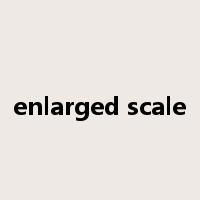 enlarged scale是什么意思