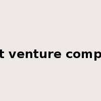 joint venture company是什么意思