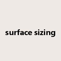 surface sizing是什么意思