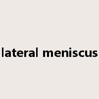 lateral meniscus是什么意思
