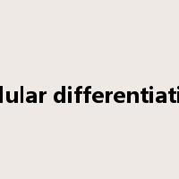 cellular differentiation是什么意思
