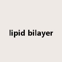 lipid bilayer是什么意思