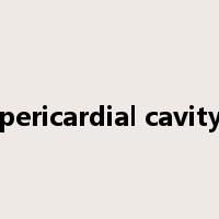 pericardial cavity是什么意思