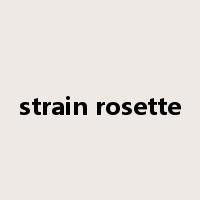strain rosette是什么意思