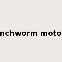 inchworm motor是什么意思