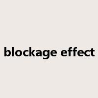 blockage effect是什么意思