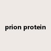prion protein是什么意思