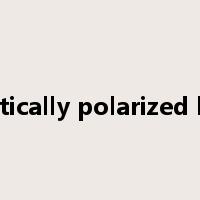 elliptically polarized light是什么意思