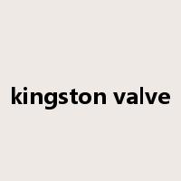 kingston valve是什么意思