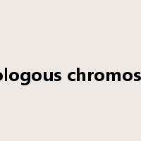 homologous chromosomes是什么意思