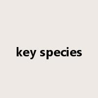 key species是什么意思