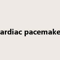 cardiac pacemaker是什么意思