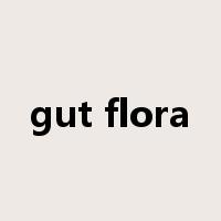 gut flora是什么意思