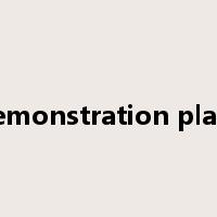 demonstration plant是什么意思