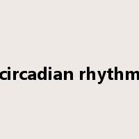 circadian rhythm是什么意思