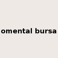 omental bursa是什么意思