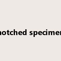 notched specimen是什么意思