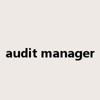 audit manager是什么意思