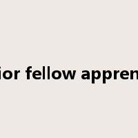 senior fellow apprentice是什么意思