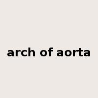 arch of aorta是什么意思