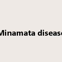 Minamata disease是什么意思