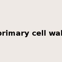 primary cell wall是什么意思
