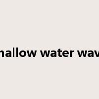 shallow water wave是什么意思