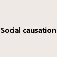 Social causation是什么意思