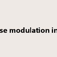 phase modulation index是什么意思