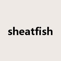 sheatfish是什么意思