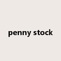 penny stock是什么意思