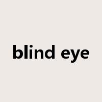 blind eye是什么意思