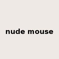 nude mouse是什么意思