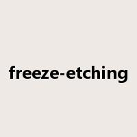 freeze-etching是什么意思