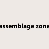 assemblage zone是什么意思