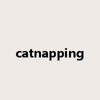 catnapping是什么意思