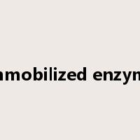 immobilized enzyme是什么意思
