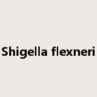 Shigella flexneri是什么意思