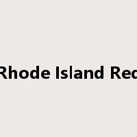Rhode Island Red是什么意思