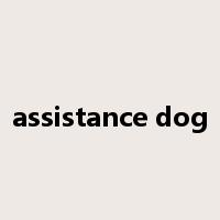 assistance dog是什么意思