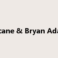 Chicane & Bryan Adams是什么意思