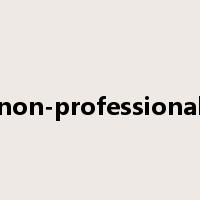 non-professional是什么意思