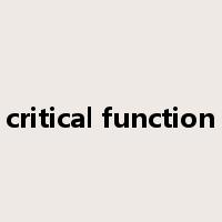 critical function是什么意思