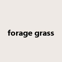 forage grass是什么意思