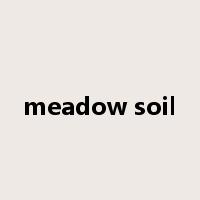 meadow soil是什么意思